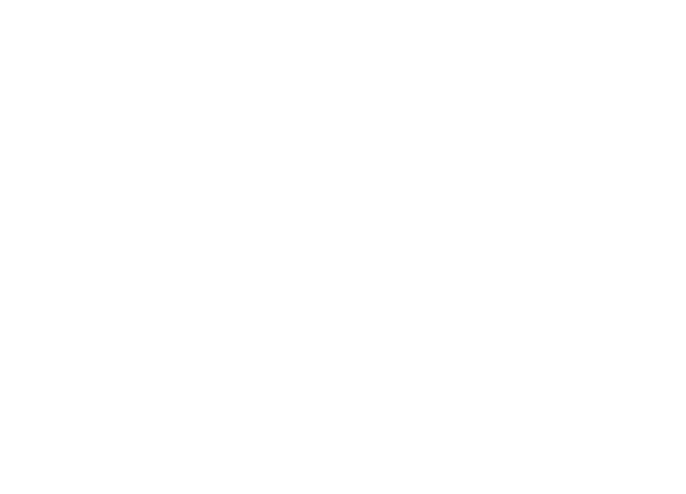FIFTH Corp